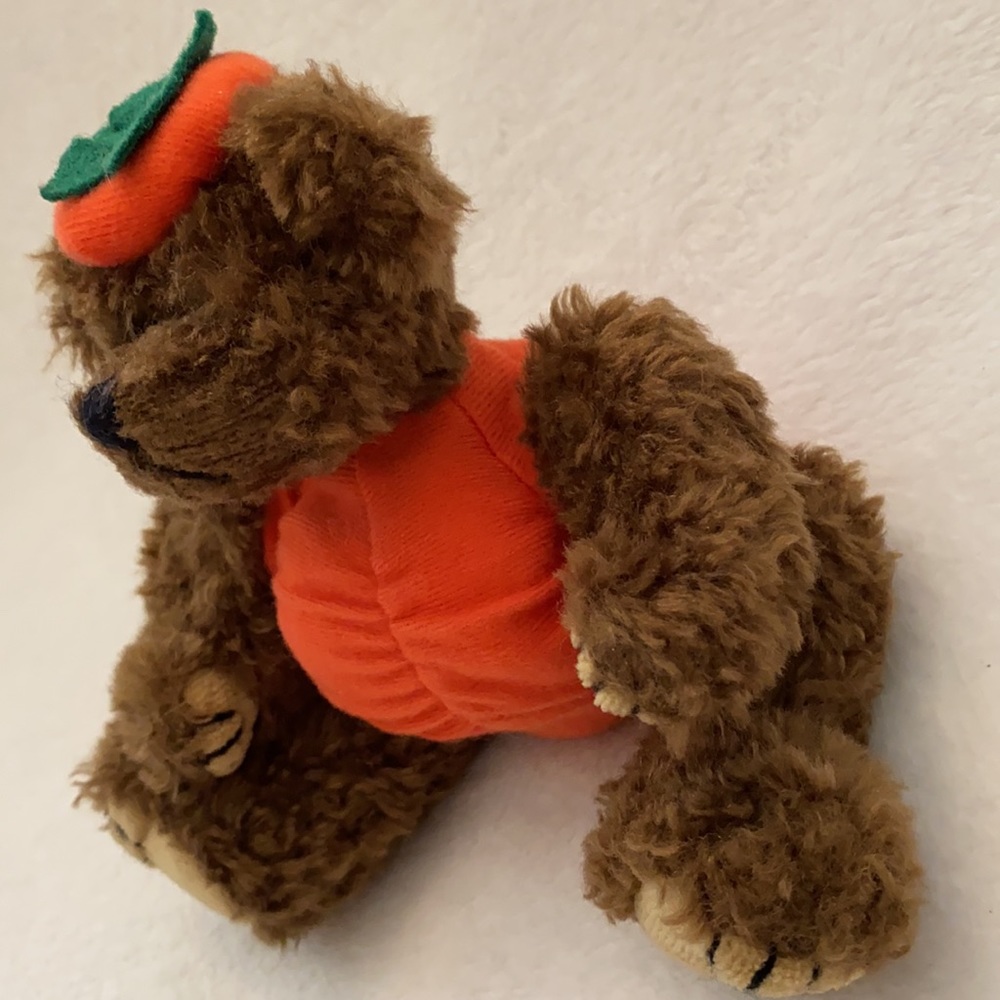 {VTG} Ty | 1993 Peter “Trick or Treat!” Pumpkin Halloween Fall Stuffed Bear - Picture 4 of 16
